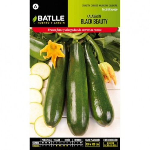 BATLLE SOBRES HORT.  CALABACIN B. NEGRA BATLLE